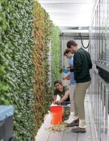 Freight Container Farming